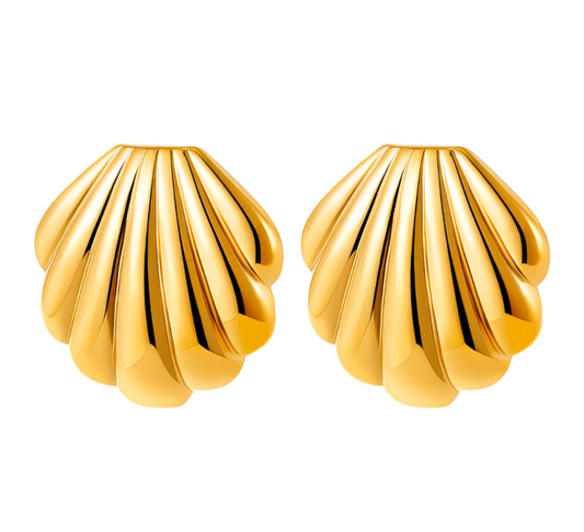 Seashell Earrings